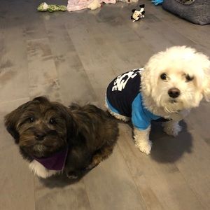 Meet your Posher, Maria